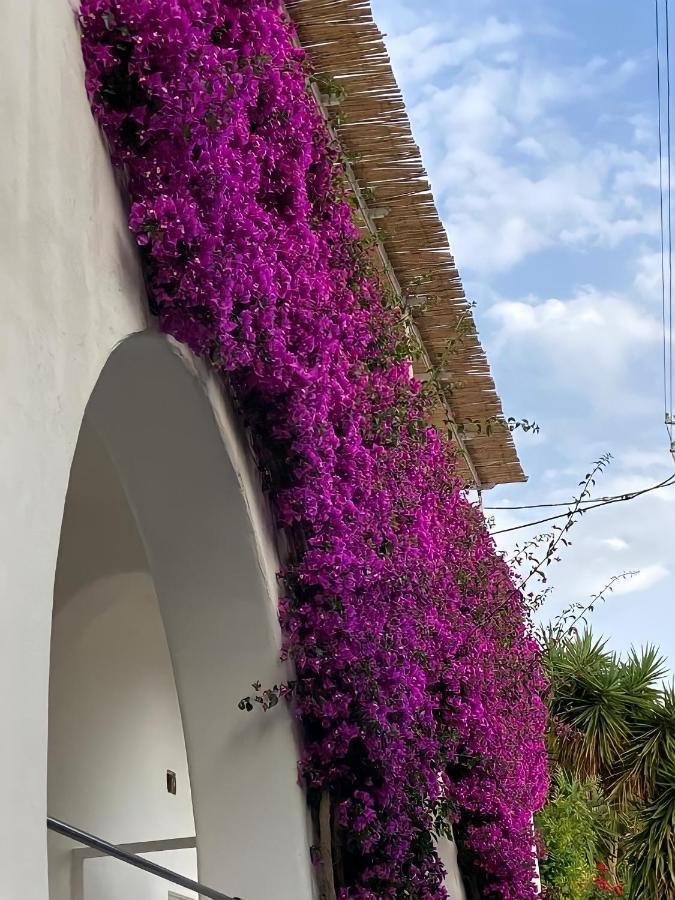 Apartamento Roberhouse Tragara 37 Capri Exterior foto